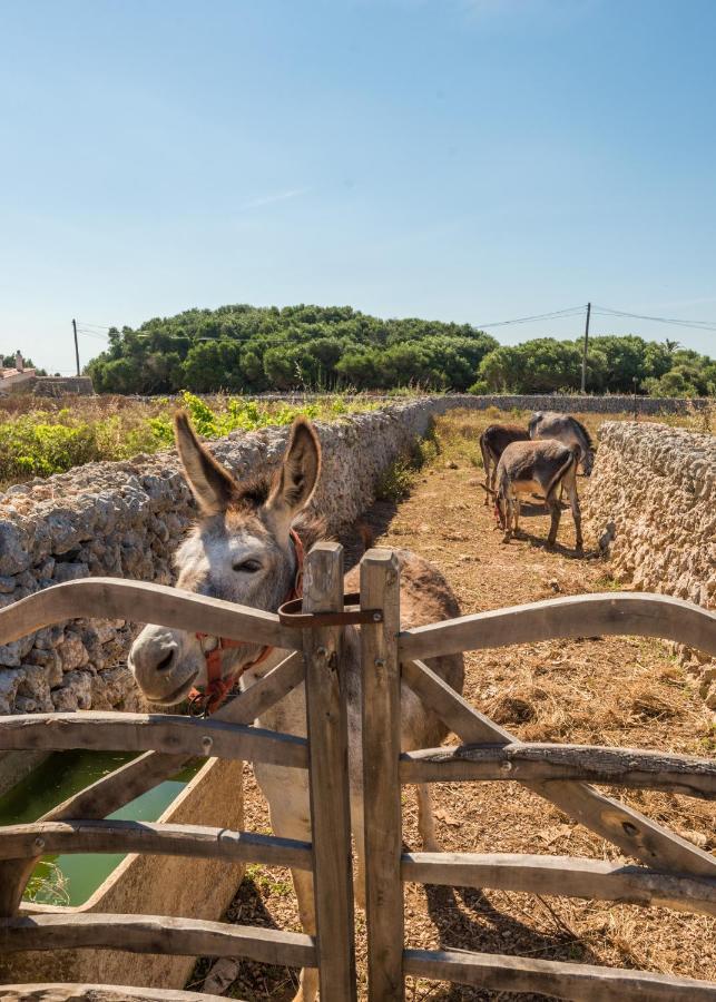 Casita Estancia D'En Carretero- Biniarroca Es Castell  Extérieur photo